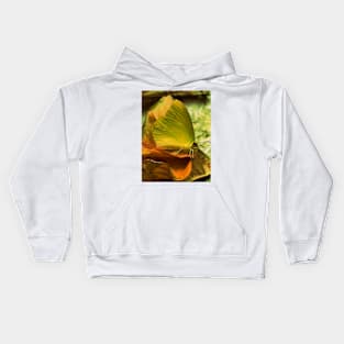 Yellow Butterfly Impressionism Kids Hoodie